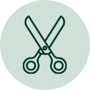 剪定・お手入れ