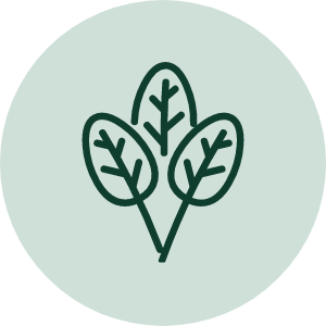 雑草対策・人工芝