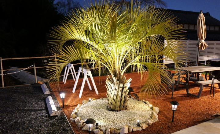 夜間のライトアップ