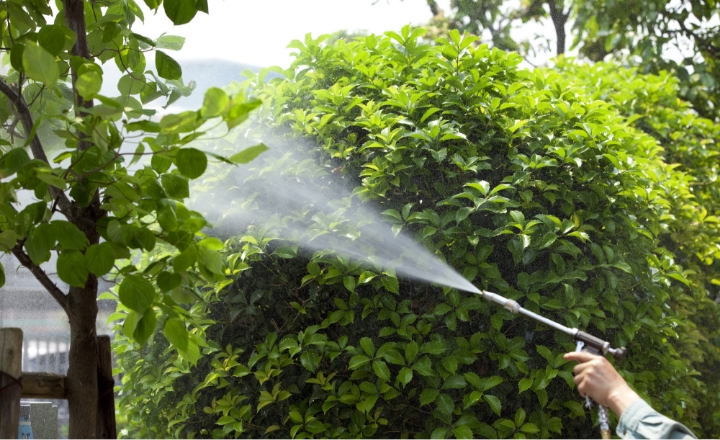 消毒・害虫駆除